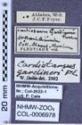 Etiketten zu Cardiotarsus gardineri (Fleutiaux, 1932) (NHMW-ZOO-COL-0006978)